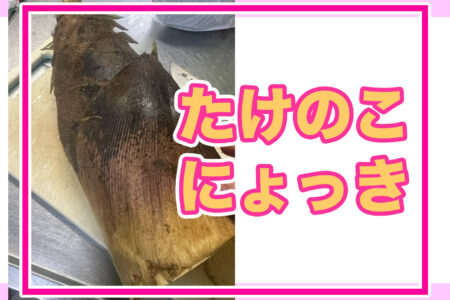 たけのこにょっき…旬を味わい尽くす